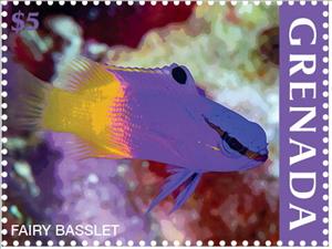 Stamp, Fairy Basslet, Grenada,  , Animals (Fauna), Fishes