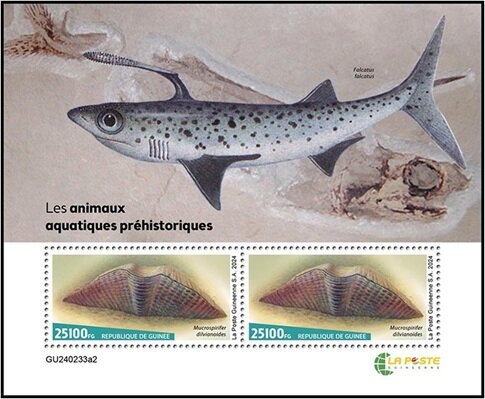 Prehistoric Water Animals (Mucrospirifer dilvianoides)