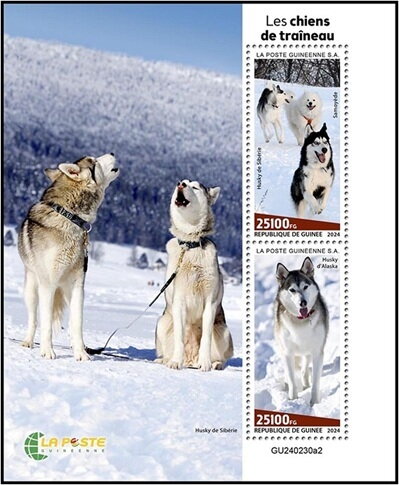 Siberian Husky and Alaskan Malamute