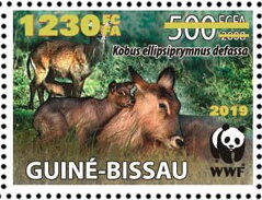 Kobus ellipsiprymnus defassa - Gold Overprinted