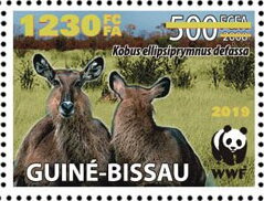 Kobus ellipsiprymnus defassa - Gold Overprinted