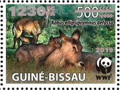 Kobus ellipsiprymnus defassa - Silver Overprinted