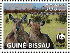 Kobus ellipsiprymnus defassa - Silver Overprinted