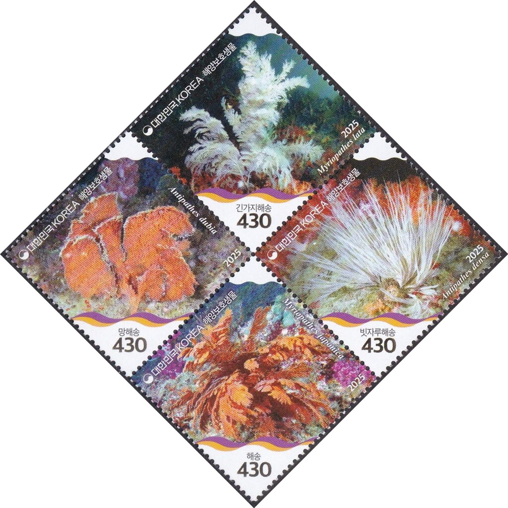 Protected Marine Species of Korea : Corals
