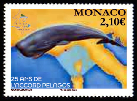 Mediterranean Whale Sanctuary Accord, 25 Years