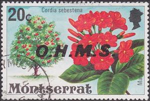 Stamp, Manjak (Cordia sebestena) - Overprinted, Montserrat,  , Flowers, Plants (Flora), Trees