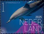 Experience Nature : Sea Life of Saint Eustatius