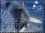 Stamp, Experience Nature : Sea Life of Saint Eustatius, Netherlands,  , Sea Life, Whales