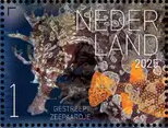 Experience Nature : Sea Life of Saint Eustatius
