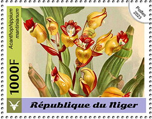 Stamp, Acanthophippium mantinianum, Niger,  , Flowers, Orchids, Plants (Flora)