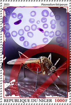 Plasmodium falciparum