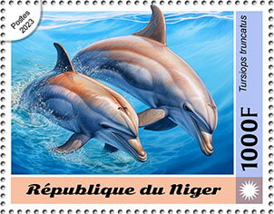 Tursiops truncatus