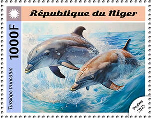 Tursiops truncatus