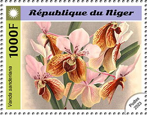 Vanda sanderiana
