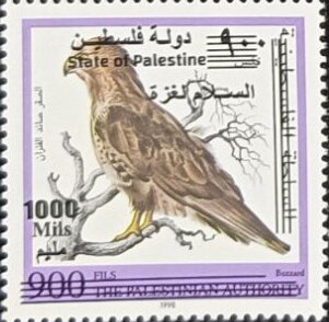 Common Buzzard (Buteo buteo) Overprinted