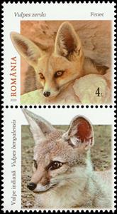Stamp with Attached Label, Fennec Fox (Vulpes zerda), Romania,  , Animals (Fauna), Foxes, Mammals