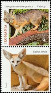 Stamp with Attached Label, Gray Fox (Urocyon cinereoargenteus), Romania,  , Animals (Fauna), Foxes, Mammals