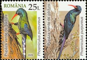 Stamp with Attached Label, Green Wood Hoopoe (Phoeniculus purpureus), Romania,  , Animals (Fauna), Birds