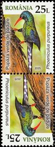Tete-Beche, Green Wood Hoopoe (Phoeniculus purpureus), Romania,  , Animals (Fauna), Birds