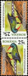 Tete-Beche, Green Wood Hoopoe (Phoeniculus purpureus), Romania,  , Animals (Fauna), Birds