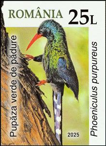 Stamp, Green Wood Hoopoe (Phoeniculus purpureus), Romania,  , Animals (Fauna), Birds