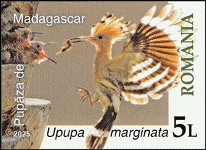 Stamp, Madagascar Hoopoe (Upupa marginata), Romania,  , Animals (Fauna), Birds