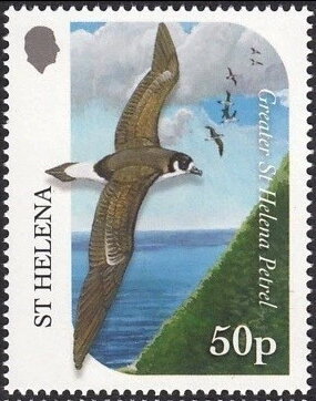 Stamp, Greater Saint Helena Petrel (Pterodroma rupinarum), Saint Helena,  , Birds