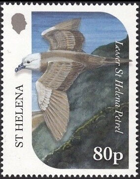 Stamp, Lesser Saint Helena Petrel (Pterodroma rupinarum), Saint Helena,  , Birds