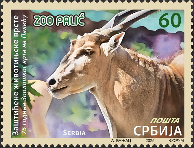 Antelope
