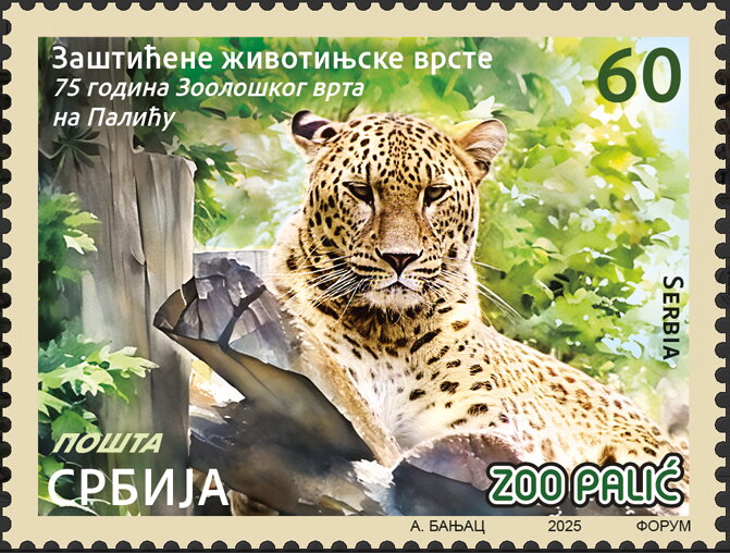 Leopard
