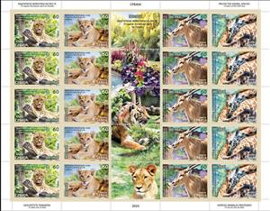 Full Pane, Palić Zoo, Subotica, 75 Years, Serbia,  , Animals (Fauna), Antelopes, Giraffes, Leopards, Лев, Mammals, Wild Cats, Zoos