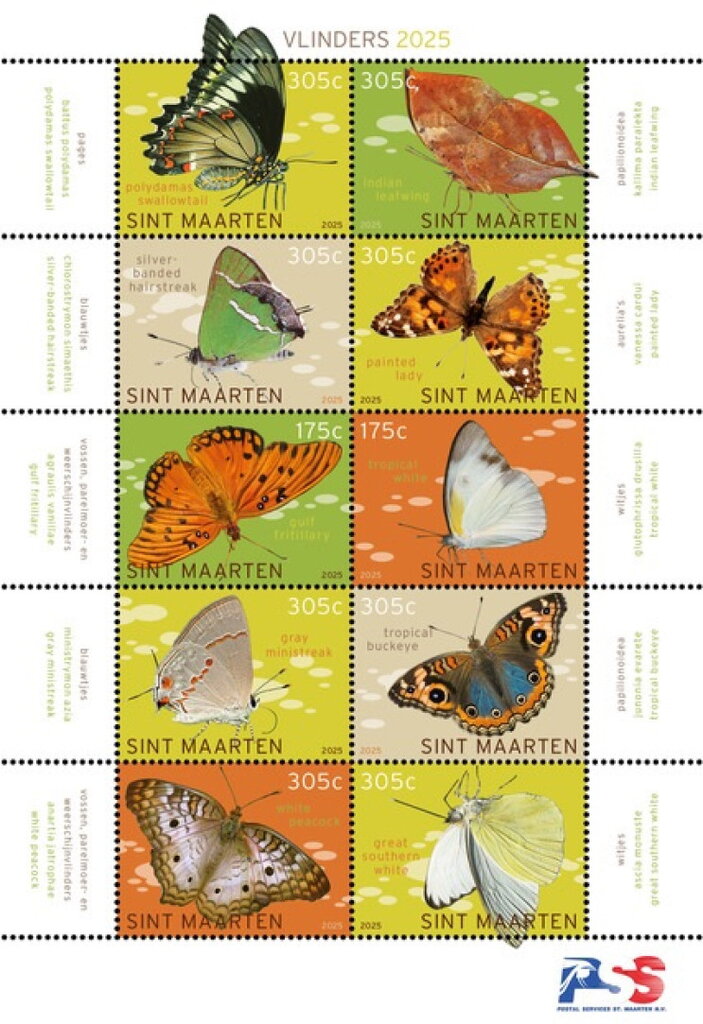 Butterflies