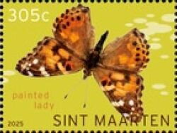 Painted Lady (Vanessa cardui)