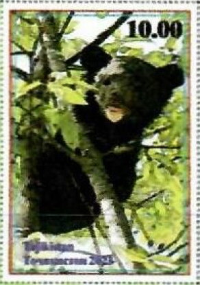 Bear