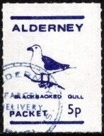 Birds, Blackbacked Gull