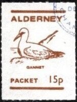 Birds, Gannet