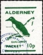 Birds, Guillemot