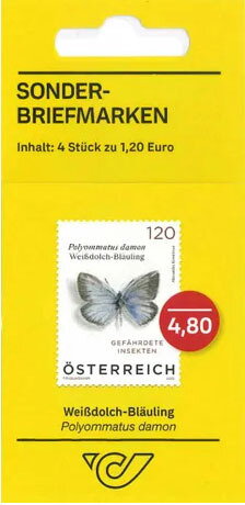 Damon Blue Butterfly (Polyommatus damon)