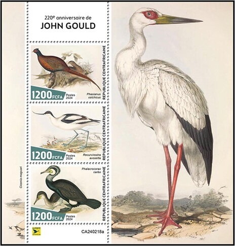 220th Anniversary of the Birth of John Gould