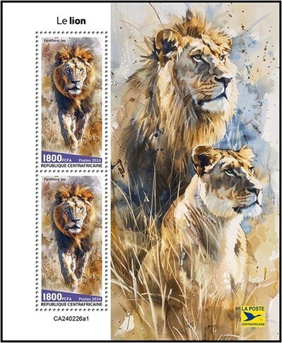 Lion (Panthera leo)