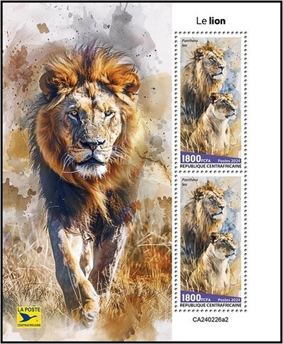 Lion (Panthera leo)
