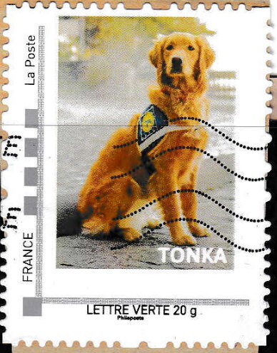 Dog called Tonka