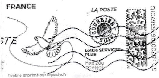 Doodle Dove Courrier Suivi