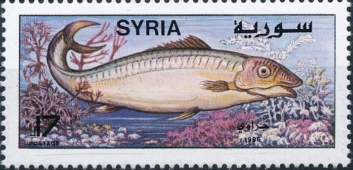 Fish with One dorsal Fin