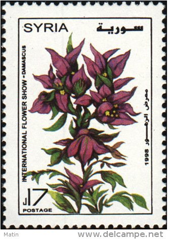 Plum coloured with yellow centres