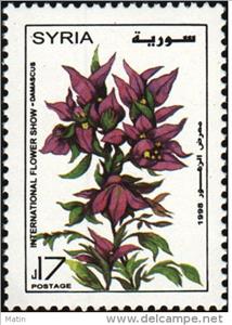 Stamp, Plum coloured with yellow centres, Syria,  , Flowers, Plants (Flora)
