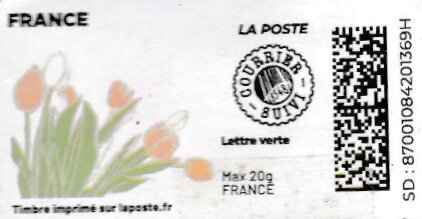 Spring. Pink Tulips. Redesign no logo. Currier Suivi