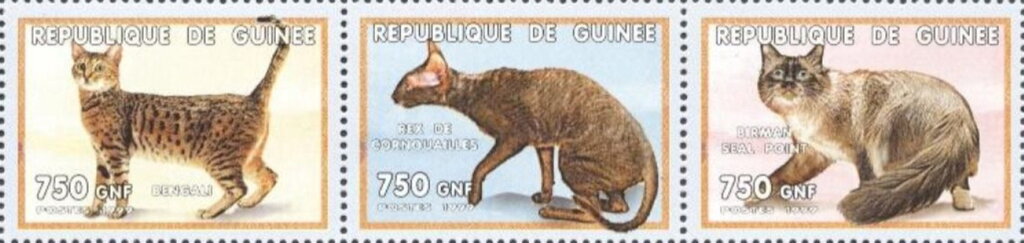 Se-tenant, Cats, Guinea,  , Animals (Fauna), Cats, Mammals