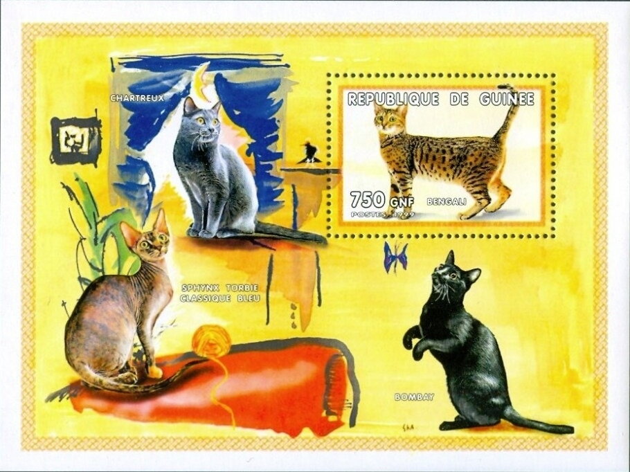 Cats - Bengali