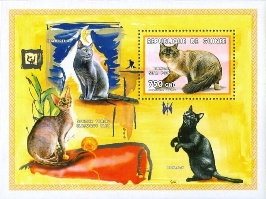 Cats - Burmese Seal Point